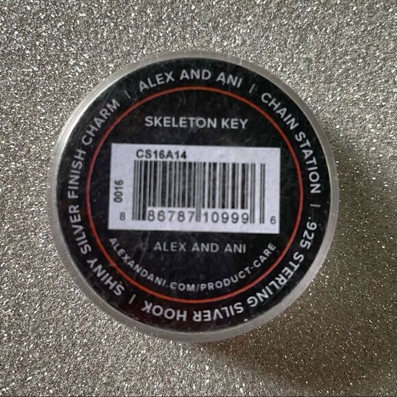Alex and Ani 
Skeleton Key Chain Station Charm - Picture 6 of 6